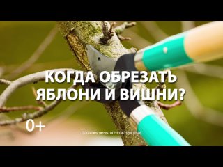 porn 24 марта лунный календарь для цветов и деревьев porn