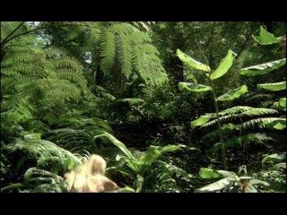 porn сексуальный каннибал дьявольский охотник el caníbal devil hunter porn