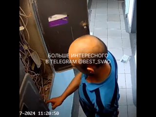 porn мужчина что то ищет в электрическом щитке на отрадной 11 porn