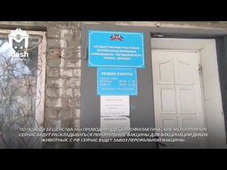 porn болезнь ауески бешенство африканская чума свиней в марте в нескольких регионах днр был объявлен карантин пришли на porn