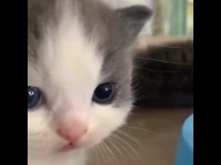 porn xnxx smirk mp3 porn