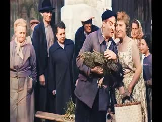 porn не пойман не вор франция 1958 цветная версия комедия луи де фюнес советский дубляж без вставок закадрового перевода porn