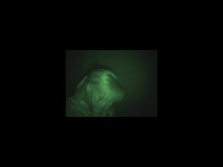 porn проверка жены на верность была ли измена анонс хроники измен с григорием кулагиным 11 porn