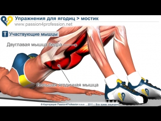 porn мостик лежа упражнение для ягодиц porn