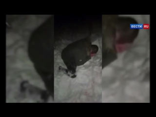 porn воронежские охотники за головами отрезали палец закладчику за воровство молодые porn