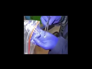 porn видео от невероятные и страшные истории porn