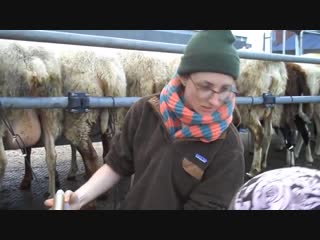 porn автоматические доярки intelligent technology smart modern farming automatic sheep cow milking machine porn