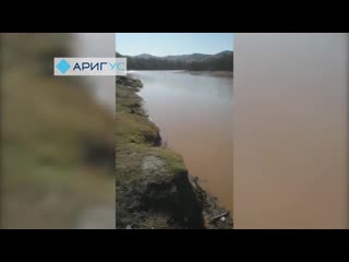porn прорвало дамбу в бурятии река стала грязно коричневого цвета porn