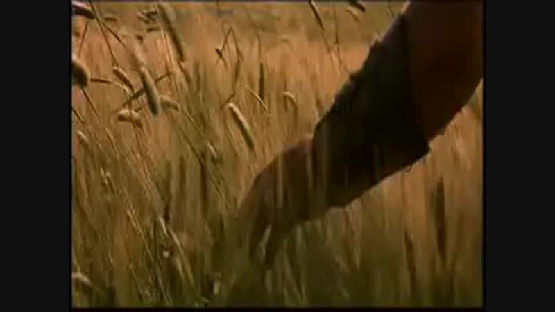 porn era hymnegladiator porn
