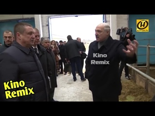 porn еле живая скотина или как лукашенко дрючит чиновников ржач до слез бать те нормально 3 0 смешные приколы 2019 porn