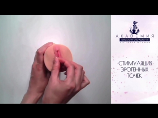 porn сексуальное образование как удовлетворить женщину академия сексуального образования porn