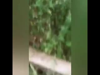 porn очевидцы сняли на видео как взрывной волной выбило все стёкла в доме комментарии огонь porn