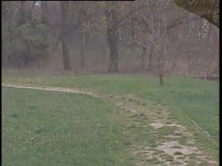 porn честная и непорочная chaste and pure 2008 360p porn
