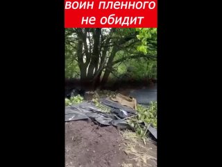 porn тяжело смотреть когда знаешь что это не кино а жизнь только что разбит фланг увс porn