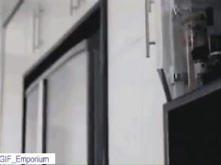 porn в домашнем питонце проснулся дикий зверь porn