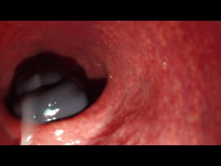 porn камера внутри пизды кончание крупным планом скрытая камерапорноинц porn