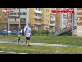 porn особое мнение ребенок прятался в луже от бабушки в ростове на дону porn