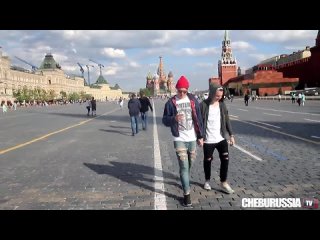 porn особое мнение избиение гомосексуалистов в россии социальный эксперимент porn
