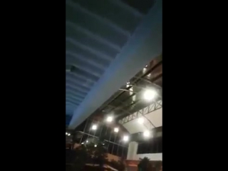 porn особое мнение мощное землетрясение в эквадоре есть жертвы 17 04 2016 porn