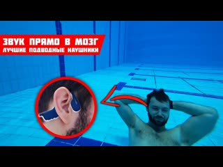 porn seal звук прямо в кость подводные mp3 наушники aftershokz xtrainerz sapphire blue porn