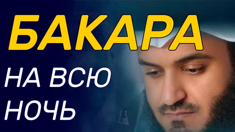 porn сура аль бакара на всю ночь очень красивое приятное чтение корана porn