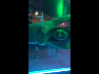 porn голенькая в клубе новенькая домашнее порно секс молодые porn 18 teen пикап porn