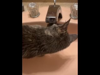 porn мои любитель поиграть с водичкои porn