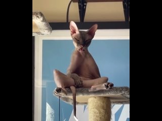 porn как прошли ваши выходные в смысле прошли porn