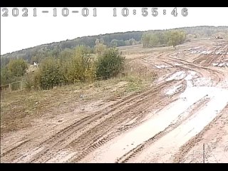 porn незаконное стадо пасется возле полигона кучино porn