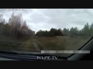 porn приколы неудачи и необычные случаи на охоте встреча с дикими молодые часть 3 porn