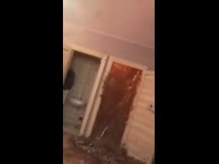 porn опять ёбаный мамикс снимает свои эксперименты с кора ророй я в ахуе porn