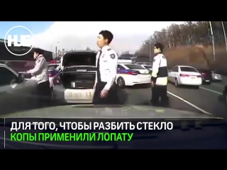 porn в корее эпичная погоня попала на видео porn