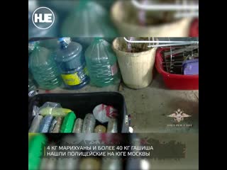porn в столице нашли склад молодые porn