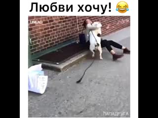 porn пристал к незнакомке на улице porn