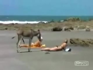 porn официальный автомобиль пятой вписки блеать porn