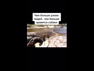 porn чем больше узнаю людей тем больше нравятся молодые mp4 porn