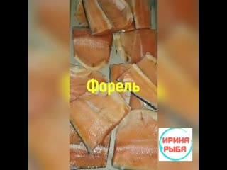 porn форель масляная иринарыбафорель иринарыбамасляная только у нас в альметьевске свежее поступление и самый большой porn