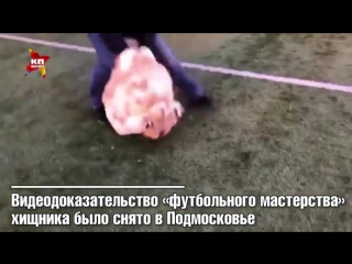 porn к чм 2018 у россии появилось секретное оружие так шутят в соцсетях по поводу видеоролика на котором в футбол porn