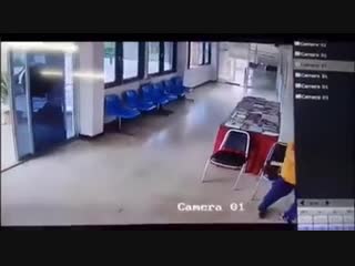 porn рикки тикки тави ты где в таиланде змея заползла в зал ожидания и напала на сидевшего там мужика porn