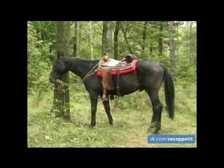 porn конная прогулка по лесу закончилась суровой долбежкой porn
