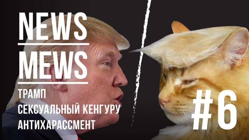 porn news mews 6 трамп сексуальный кенгуру антихарассмент porn