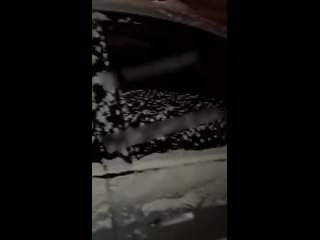 porn 1 голые наркоманы молодые от передоза во время секса в машине в екатеринбурге mp4 porn