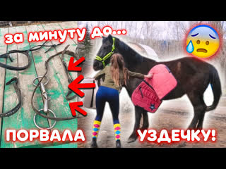 porn лошадь порвала уздечку буду ли заниматься с мартини дальше porn