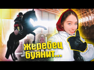 porn первый раз со шпорами тренироа с привязанными стременами vlog porn
