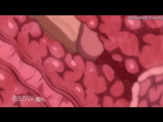 porn 18 hentai sei brunehilde gakuen shoujo kishidan to junpaku no panty рыцарь брюнхильда и чисто белые трусики01 ru porn