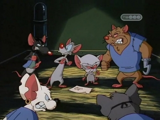 porn пинки и брейн ambulatory abe ходячий эйб mouse of la mancha мышь ламанческая pinky and the brain porn