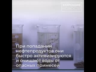 porn сибирские ученые разработали уникальную технологию очистки сточных вод от нефти porn
