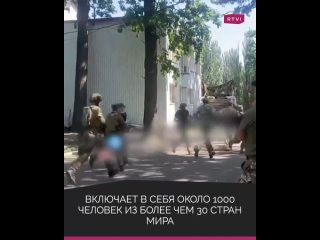 porn что такое грузинский национальный легион кто в него входит и в каких военных преступлениях подозревают его porn