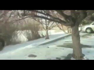 porn худенькая молодка не стесняется снимать порнуху анал вписка слив мраком куни минет отсосала домашнее любительское porn