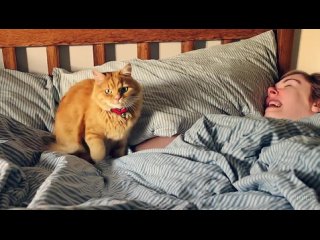 porn open ai представила sora нейросеть для генерации качественных видео porn